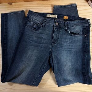 Anthropologie Pilcro and the Letterpress Stet slim-fit jeans crop mid rise 30
